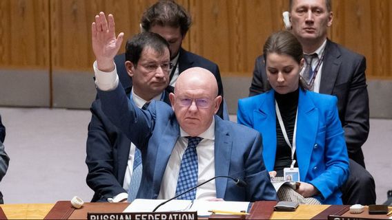 俄罗斯大使:如果没有永久性停火,加沙的人道主义努力将失败