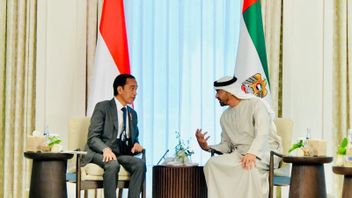 Indonesia And UAE Follow Up Discussion On IKN Investment Cooperation