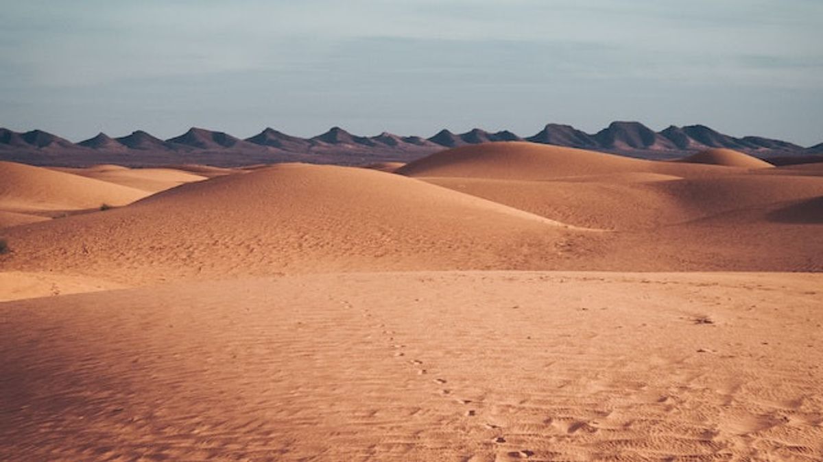 The Viral Sahara Desert In Tiktok, Here Are Facts About The World's Largest Desert