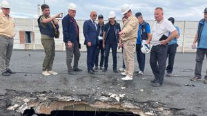 Ada Ranjau di PLTN Zaporizhzhia, Kepala IAEA: Tidak Sesuai Prosedur Keselamatan dan Keamanan
