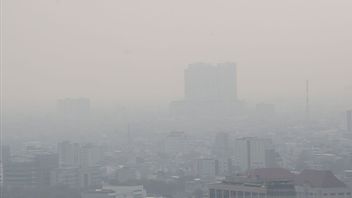 雅加达空气污染,政府努力这些5步