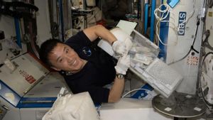 Astronot NASA dan Roscosmos Amati Dampak Perubahan Tubuh Selama Berada di Luar Angkasa