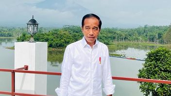 Jokowi Yakin Indonesia Jadi Negara Maju Tahun 2045 Jika Konsisten Stop Ekspor Bahan Mentah