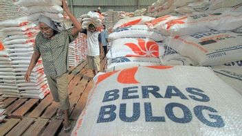 ritoire : Bulog veut distribuer de l'aide alimentaire au riz pour 18,27 millions de bénéficiaires