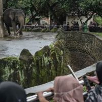 Tuduh Petugas Bawa Pulang Pakan Satwa Ragunan, Warganet Ini Minta Maaf 