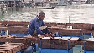 IPB kembangkan Sea Farming Berbasis Adat di Wakatobi