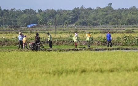 Presiden Prabowo Tinjau Lahan Percontohan Lumbung Pangan di Merauke