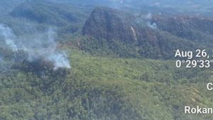 Sumber Air Jauh dan Akses Sulit, BPBD Riau Kerahkan 2 Helikopter Water Bombing Jinakan Api di Rokan Hulu