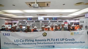 PLN Amongia Mixed Trial Group For Gresik PLTU Fuel