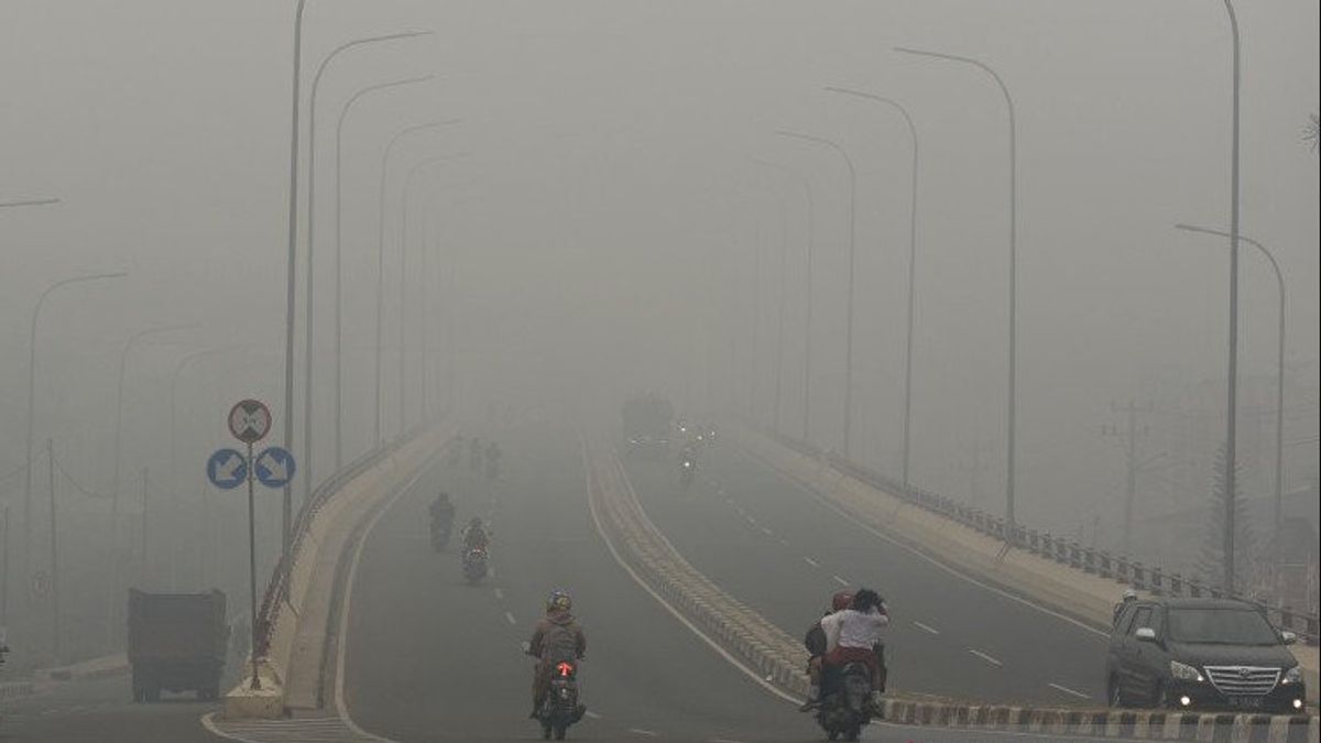الرئيس جوكوي يقر اللائحة الرئاسية بشأن ضريبة الكربون، إندونيسيا تهدف إلى خفض الانبعاثات في عام 2030