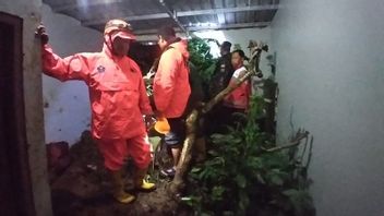 A 10-Meter Cliff Falls To A Resident's House In Banjarnegara, BPBD Evacuates 5 Victims