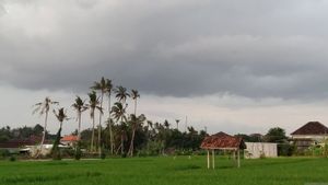 BMKG Ungkap Suhu Dingin di Bali Dipengaruhi Angin dari Australia