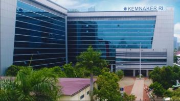 劳动和人力资源部提高国家实习生津贴金额