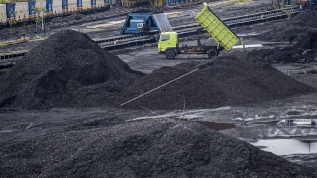 探索欧洲市场，武吉阿萨姆向意大利运送数百吨煤炭