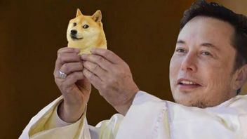 Elon Musk déclare D.O.G.E en X, le prix de Dogecoin ne réagit pas