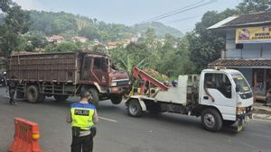 Polisi: Pemudik Tewas Dalam Kecelakaan Truk Sapi di Nagreg