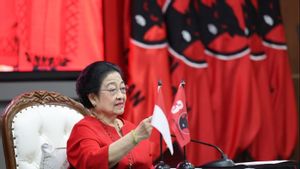 「怎么样,我的pusing,'Megawati对Hasyim Asy'ari的骚扰案感到悲伤