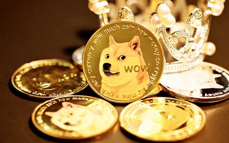 Kabosu, Anjing Shiba Inu Ikon Meme dan Dogecoin Mati dalam Tidur Nyenyaknya