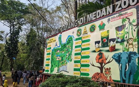 KLHK Bantu Perbaiki Pengelolaan Satwa di Medan Zoo yang Terbengkalai hingga 3 Harimau Mati