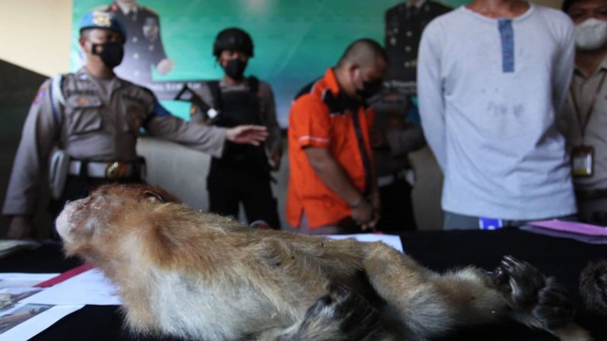 Police Reveals Smuggling Of Protected Animals In Surabaya From Banjarmasin