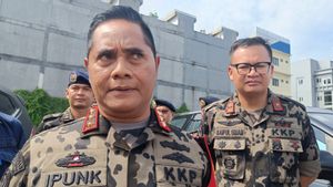 KKP Ungkap Banyak Tambak Udang Tertutup Lumpur imbas Banjir Sumatera dan Aceh