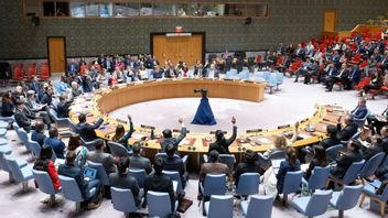 Finnish President Says No Country Should Have Veto Rights In UN Security Council