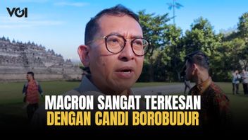 Fadli Zon Ceritakan Presiden Macron Sangat Terkesan dengan Candi Borobudur