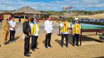 Reviewing The Mbay Dam, Jokowi Hopes To Increase Rice Production In Nagekeo NTT