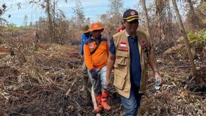  16 Hektare Lahan di Riau Terbakar, Ada 52 Titik Panas