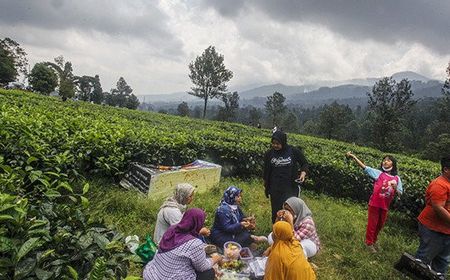 Membenahi Puncak Adalah Menyelamatkan Jabodetabek, Kementerian ATR/BPN Ingin Adanya Kolaborasi