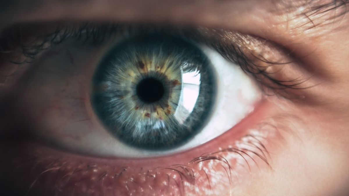眼の動きを通して人々の心を読む、方向を確認する、および眼球の反応