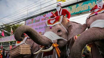 サンタクロースの衣装の象は、タイでクリスマスを祝います