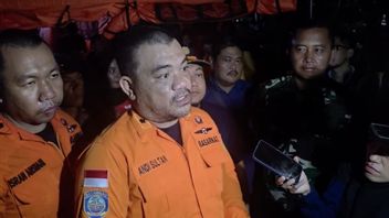 ATR Indonesia Air Transport Aircraft Lost Contact in Maros, Basarnas Deploys Hundreds of Personnel