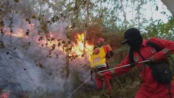 Entering The Dry Season, The West Sumatra Regional Government Starts Anticipating Forest Fires