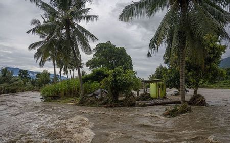 Penanganan Banjir Sigi, Risma Minta PUPR Bangun Tanggul di Hilir