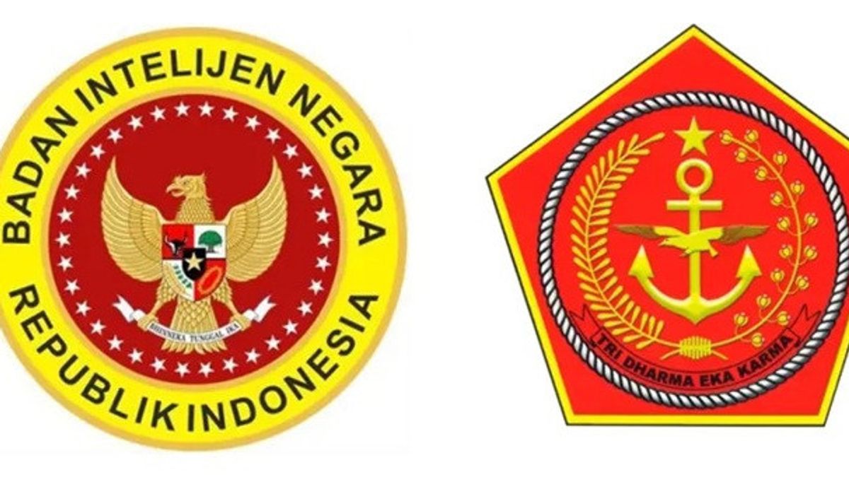 Cegah Tumpang Tindih Kewenangan, BAIS dan BIN Sebaiknya Disatukan