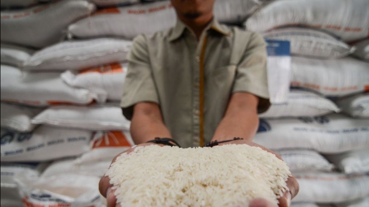 Badanas Reminds Prabowo: Rice Reserves Ahead Of The Pilkada Must Be Above 2 Million Tons