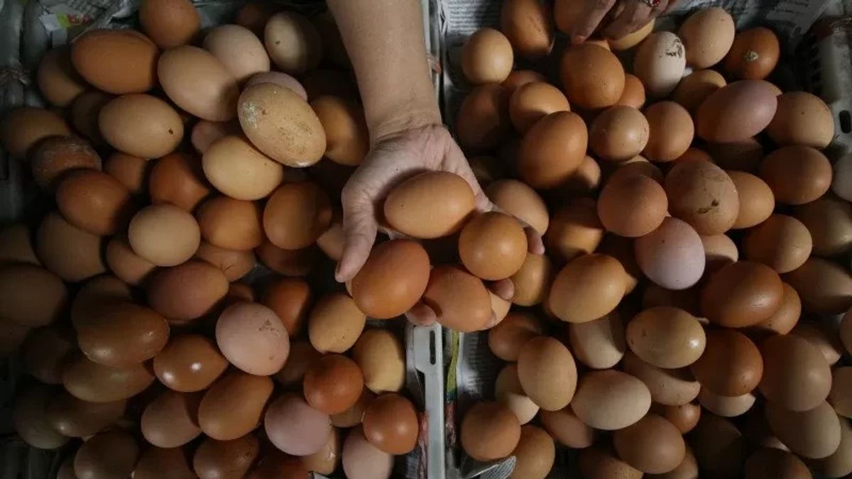 ارتفاع أسعار البيض قبل نهاية العام ، حكومة مقاطعة DKI: ارتفاع الطلب  
