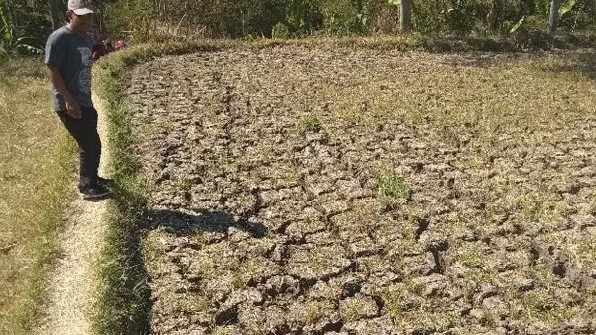 2026년 5월에 들어온 계절이 있는 지역