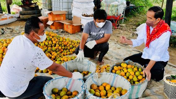 ジョコウィ社長、生産支援のための道路インフラの重要性を強調