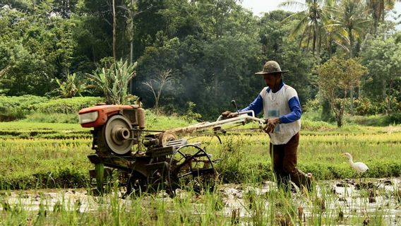 Economist Calls The Agriculture Sector As Crisis Resistant Industry