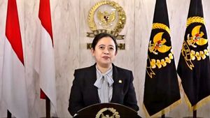 Puan Maharani Sebut Penetapan Libur Hari Raya Imlek Berkat Megawati Soekarnoputri