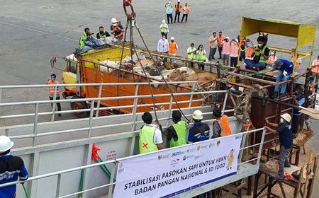 Penuhi Kebutuhan Ramadan dan Lebaran, PT Berdikari Siap Mobilisasi Sapi ke Jabotabek dan Bandung Raya