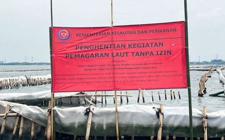 PSDKP KKP Awasi Pembongkaran Pagar Laut di Bekasi Terkait Pelanggaran Reklamasi Tanpa Izin