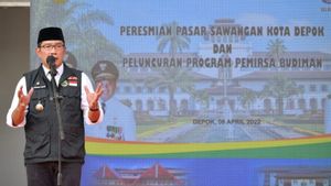Ridwan Kamil akan Jadikan Hasil Survei Bahan Evaluasi Kinerjanya