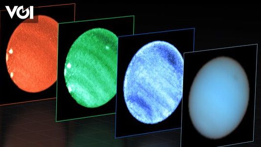 Uncovering the Mystery of Neptune’s Dark Spot: Insights from VLT and Hubble Observations