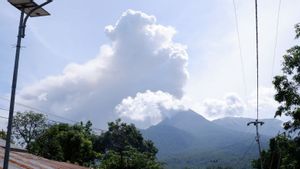Gunung Lewotobi Laki-laki Erupsi Lontarkan Abu Setinggi 1.000 Meter