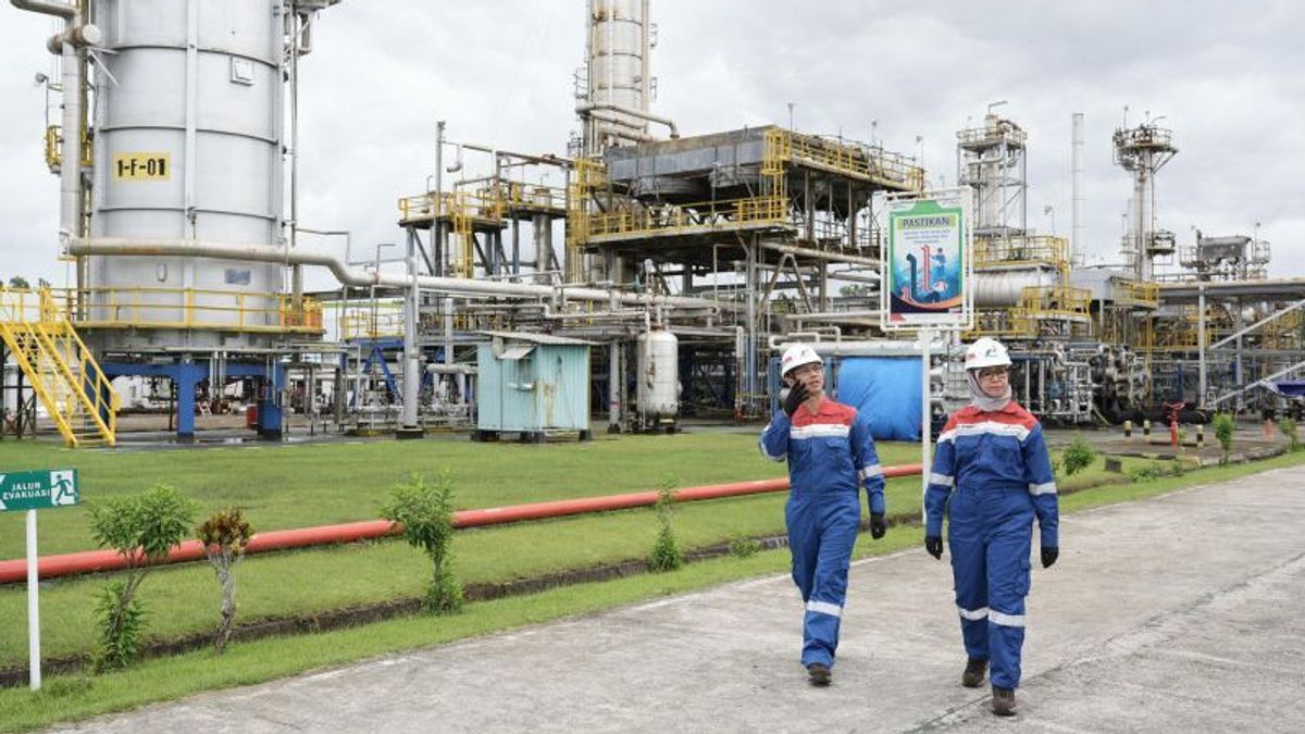 BPH Migas Harapkan Kapasitas Kilang Pertamina Kasim, Papua Barat Daya Ditingkatkan