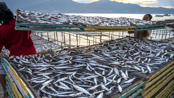 kp : 44 acteurs d'affaires du secteur de la pêche ont reçu un programme d'alimentation gratuite