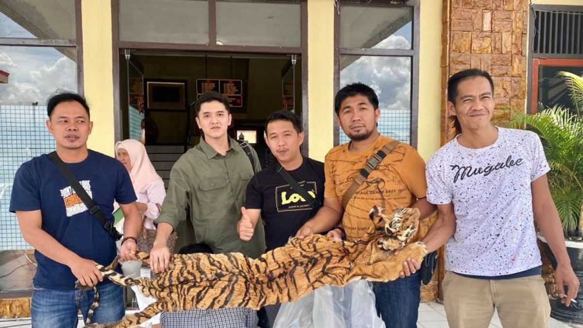 Before Transaction, Kerinci Jambi Police Arrested Tiger Skin Sellers At Hotels